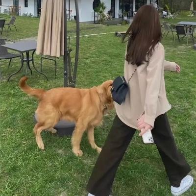 我听见钟声